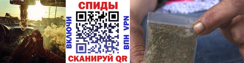 где купить   Архангельск  Бутират Butirat 