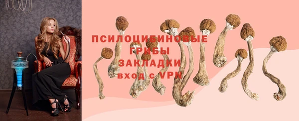 2c-b Алексин