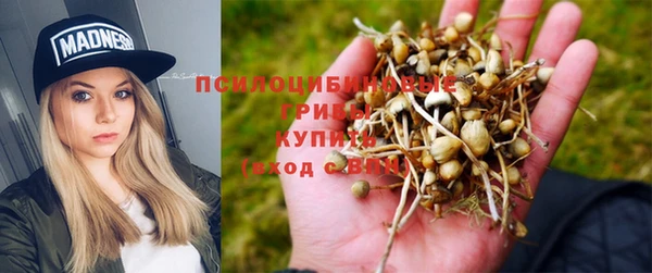 МДПВ Абдулино