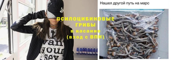 МДПВ Абдулино