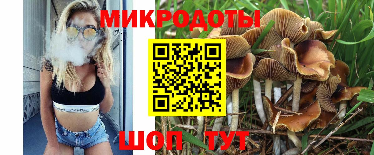 Псилоцибиновые грибы Psilocybine cubensis  Галлюциногенные грибы мицелий  Вход с VPN  Архангельск 