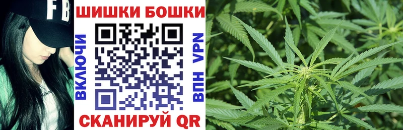 купить наркотик  блэк спрут   Шишки марихуана тримм  Архангельск 